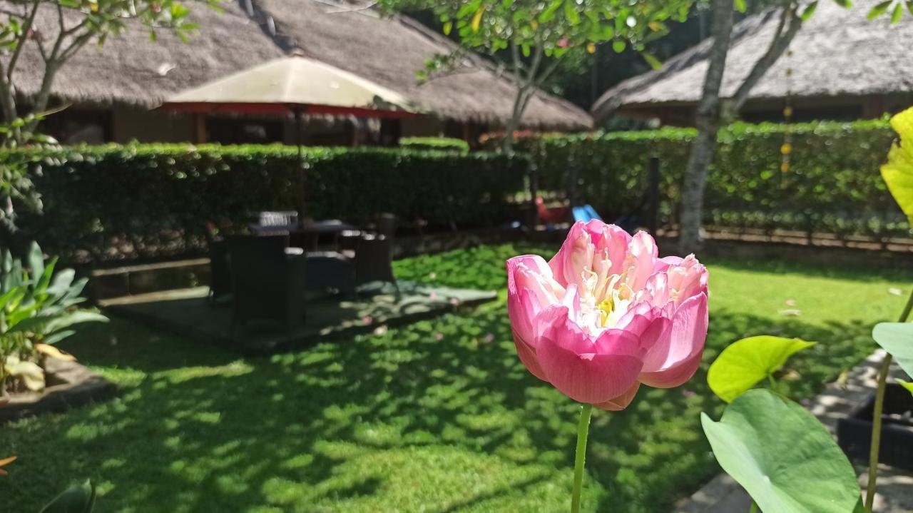 スンギギ ママ　ベラズ　リトリート Bed & Breakfast エクステリア 写真